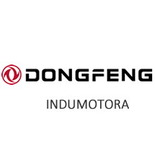 Autos Dongfeng Indumotora